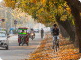 Mohali