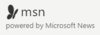 Msn-logo